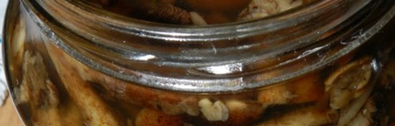 Маринованные опята с семенами горчицы: рецепты приготовления на зиму