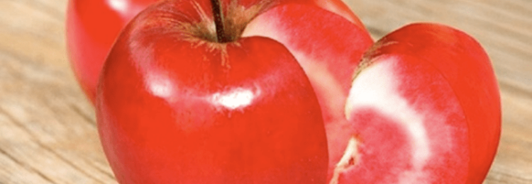 Яблок-помидор: плод селекционеров или миф?