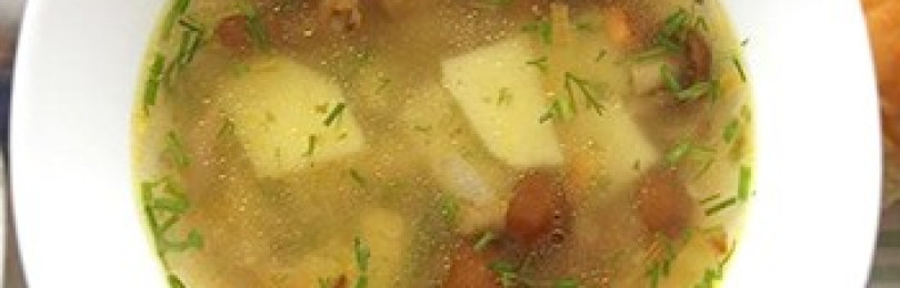 Как приготовить грибные супы из свежих шампиньонов в мультиварке: рецепты приготовления первых блюд