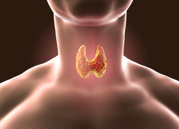 Аденома щитовидной железы. имптомы, современные методы диагностики и лечения