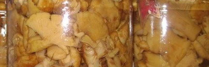 Как консервировать лисички на зиму: рецепты консервированных грибов, как готовить вкусные закуски