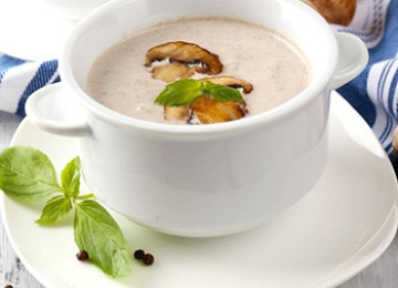 Классические грибные супы из белых грибов: рецепты вкусных первых блюд