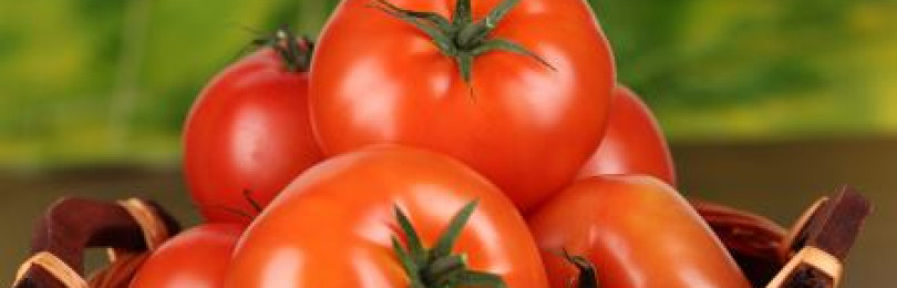 Как вырастить томаты в мае