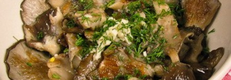 Вешенки с чесноком: рецепты с пошаговыми фото, как приготовить грибы с добавлением чеснока