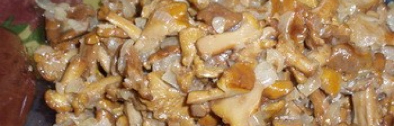 Лисички в духовке: фото и рецепты блюд из грибов, запеченных в духовом шкафу