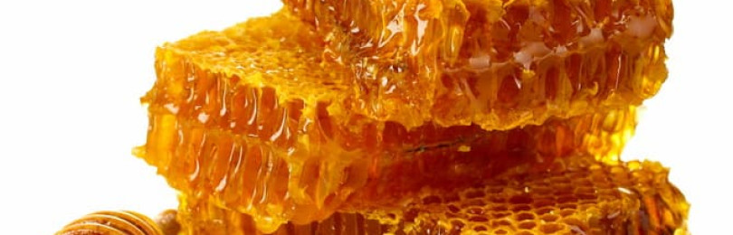 Мед в сотах: польза. Чем полезны соты с медом и можно ли их жевать?