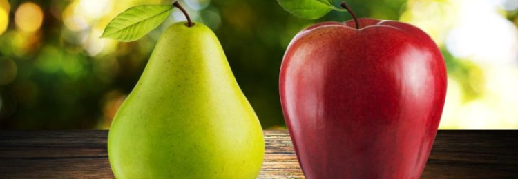 Яблони и груши: противодействие болезням и вредителям