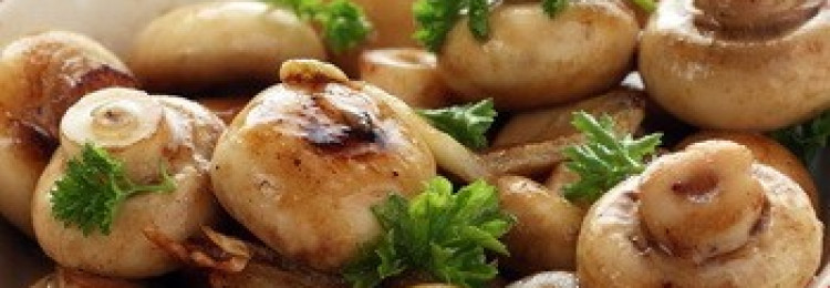 Простые и вкусные блюда из грибов шампиньонов: фото, рецепты приготовления в домашних условиях