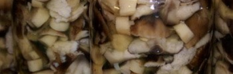 Консервирование грибов рядовок в домашних условиях: рецепты и фото консервированных заготовок на зиму