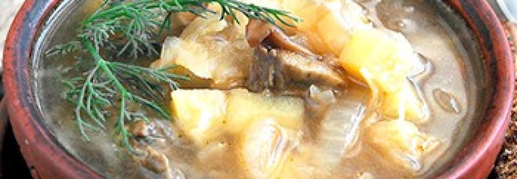 Щи с белыми грибами: пошаговый рецепт с фото, где показано приготовление супа с капустой