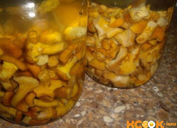 Маринованные лисички: пошаговые рецепты с фото, как вкусно мариновать грибы в домашних условиях