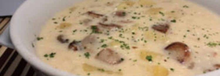 Супы из белых грибов с плавленым сыром: рецепты грибных первых блюд