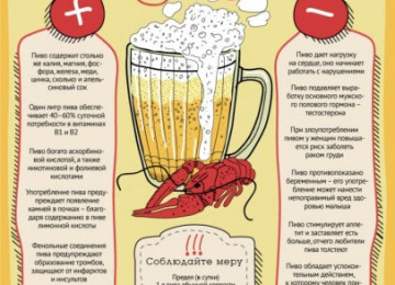 Лечение пивом – 11 народных рецептов от многих болезней