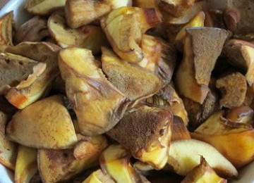 Как обработать маслята после сбора: что делать с грибами после сбора урожая