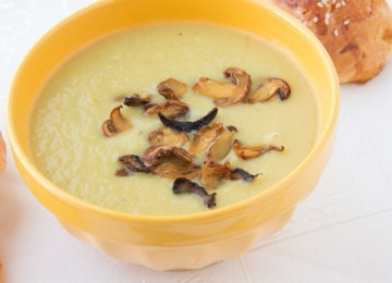 Грибные супы-пюре из вешенок: рецепты приготовления и фото супов с вешенками