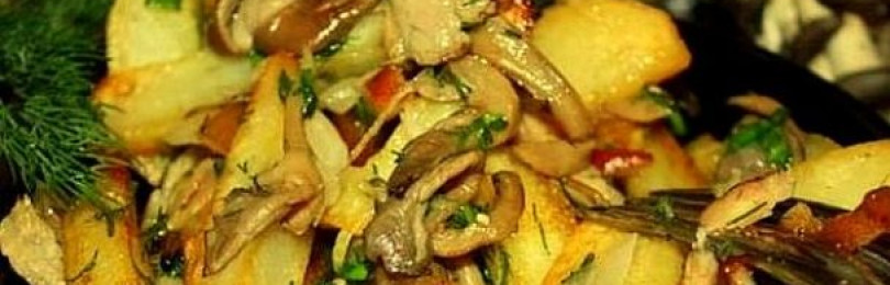 Вешенки с картошкой: фото и рецепты приготовления, как приготовить грибы вешенки с картофелем