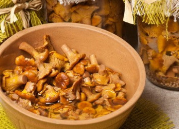 Лисички, соленые на зиму: фото и рецепты быстрого приготовления грибов холодным и горячим способом