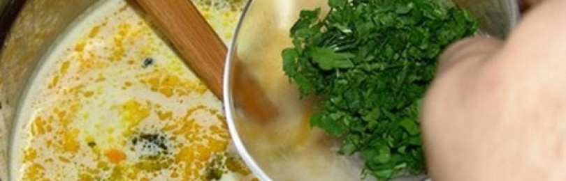 Вешенки с плавленым и твердым сыром: рецепты грибных супов и салатов с вешенками