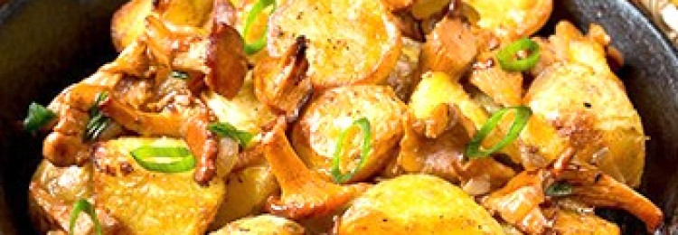 Лисички с картошкой, запеченные в духовке: рецепты, как приготовить грибы с картофелем
