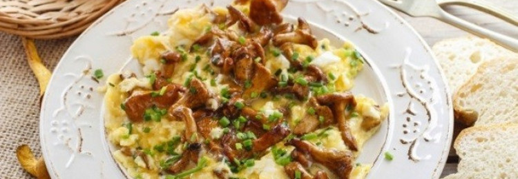 Как приготовить грибы лисички с картошкой в сметане: рецепты приготовления вкусных блюд