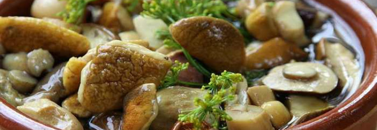 – что вкусного можно приготовить из белых грибов на ужин: рецепты различных блюд из боровиков