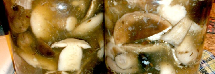 Маринованные белые грибы на зиму: рецепты с уксусом 9% и 70%, способы приготовления маринадов