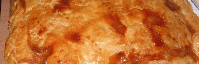 Пироги с грибами шампиньонами: фото и рецепты выпечки из слоеного и дрожжевого теста