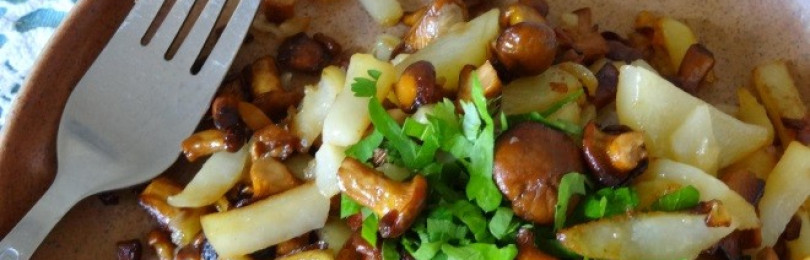 Мясо с грибами и перцем: рецепты приготовления вкусных и оригинальных грибных блюд