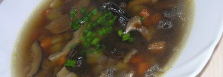 Как приготовить сушеные шампиньоны и суп из сухих грибов: рецепты с фото
