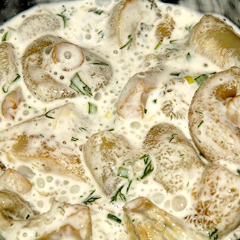 Блюда из соленых груздей: фото, рецепты, что приготовить из соленых груздей