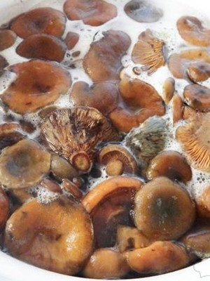 Что делать с большими рыжиками: можно ли солить крупные грибы и как это делать