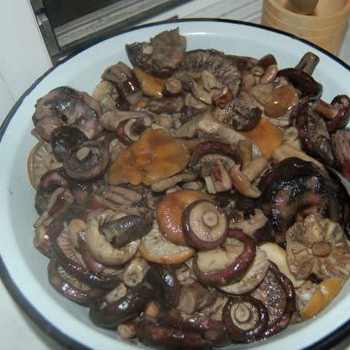 Что можно приготовить из ножек груздей: рецепты приготовления грибных блюд разными способами