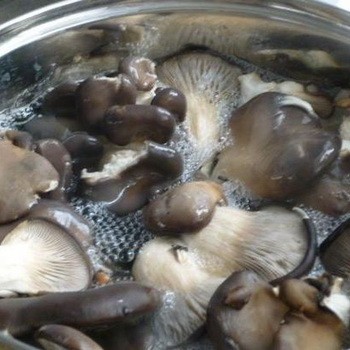 Что можно приготовить из вареных вешенок, как правильно варить грибы: рецепты с видео