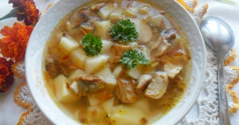 – что вкусного можно приготовить из белых грибов на ужин: рецепты различных блюд из боровиков