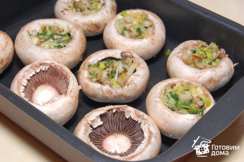 Фаршированные шляпки грибов шампиньонов, запеченные в духовке: фото, рецепты приготовления грибных блюд