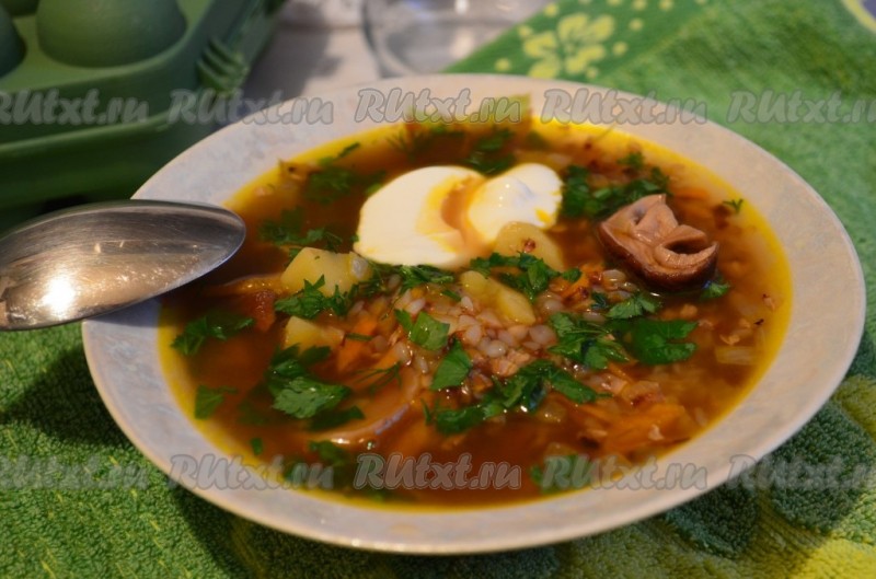 Грибной суп из сушеных опят: фото, видео-рецепты, как сварить первые блюда из грибов