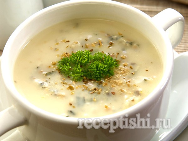 Грибной суп-пюре из опят: фото и рецепты, как приготовить суп-пюре из опят