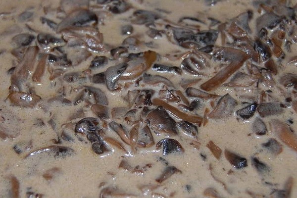 Грибные соусы из вешенок со сметаной и сливками: вкусные рецепты