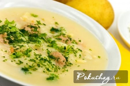 Грибные супы-пюре из вешенок: рецепты приготовления и фото супов с вешенками