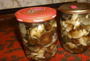 Грибы опята, квашеные на зиму: рецепты приготовления грибных заготовок