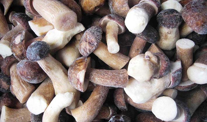 Как хранить белые свежие грибы в холодильнике: можно ли это делать, в течение какого срока