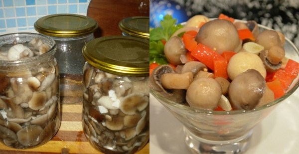 Как мариновать ножки грибов: рецепты блюд в домашних условиях