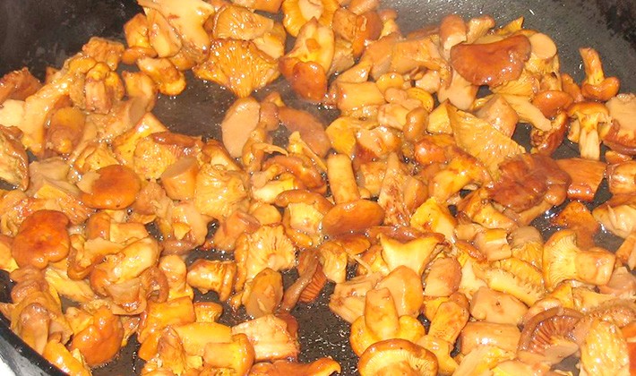 – как правильно готовить свежие осенние опята: рецепты блюд из грибов