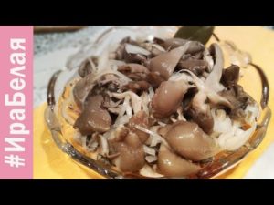 Как приготовить грибы вешенки в мультиварке: фото и рецепты приготовления грибных блюд