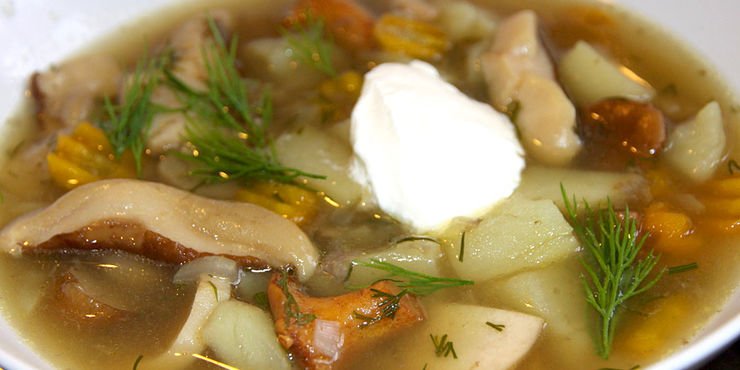 Как приготовить суп из белых свежих грибов: рецепты с курицей, мясом и другими ингредиентами