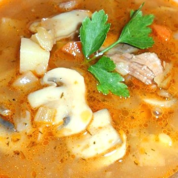 Как приготовить суп-солянку с шампиньонами: рецепты приготовления грибных блюд на зиму и на каждый день