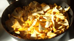 Как приготовить сушеные лисички: видео и рецепты приготовления сухих грибов вкусных блюд