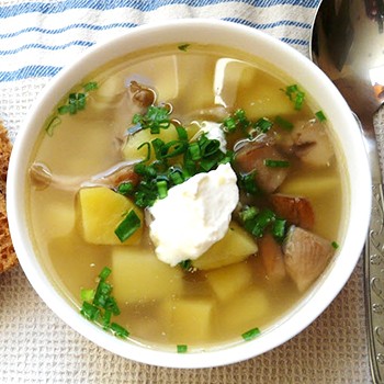 Как сварить грибной суп из груздей: рецепт с фото, блюда с маринованными и солеными грибами