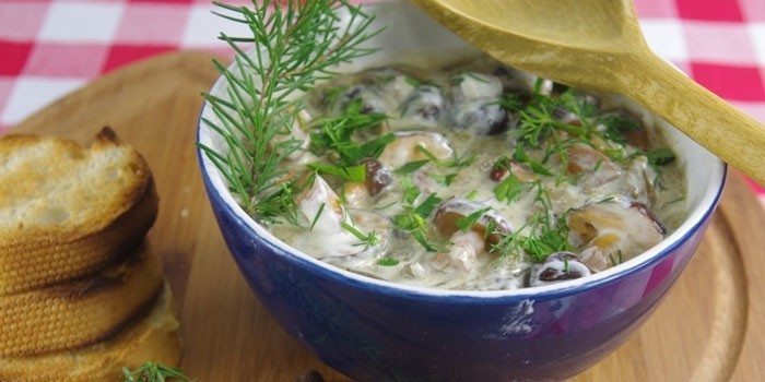 Как сварить суп из свежих маслят: фото и рецепты грибных супов с маслятами