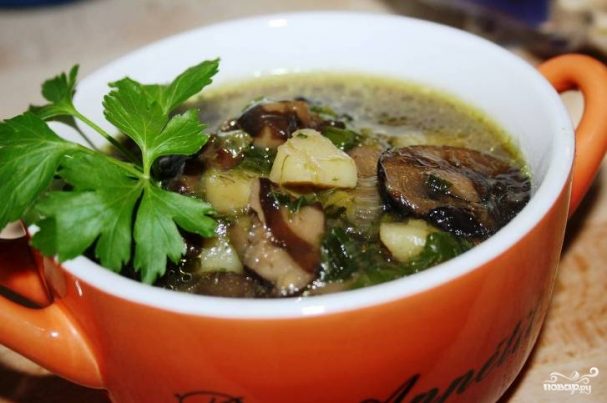 Как сварить суп из свежих маслят: фото и рецепты грибных супов с маслятами